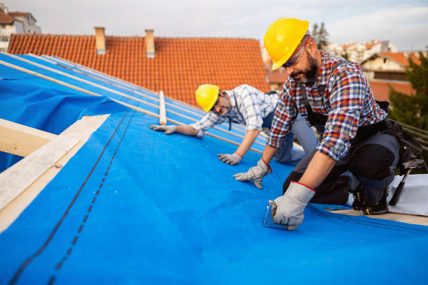 Professional Roofing Contractor in Timberlane, IL